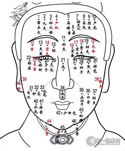 少奴痣|面部痣的位置与命运，男女面部痣相图解大全